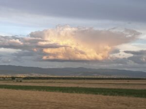 IMG_0151